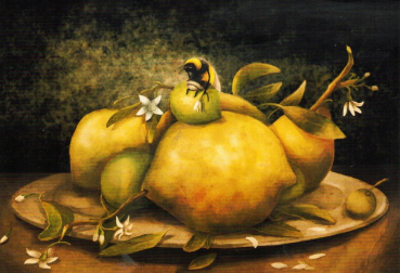Inkognito Emilia Dziubak „Biene an Zitronen“ - Postkarte, Größe: 10,5x14,8cm