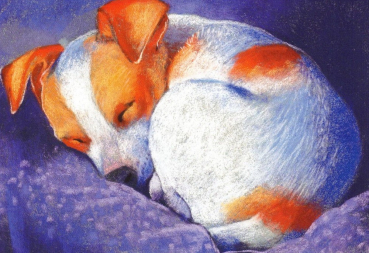 Loes Botman "In tiefem Schlaf" Postkarte, Größe: 10,5x15 cm