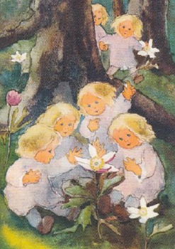 Mili Weber "Die Anemonen" Postkarte, Größe: 10,5x15 cm