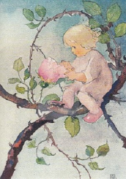 Mili Weber "Rosenmärchen" Postkarte, Größe: 10,5x15 cm