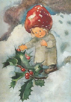 Mili Weber "Rote Beeren" Postkarte, Größe: 10,5x15 cm