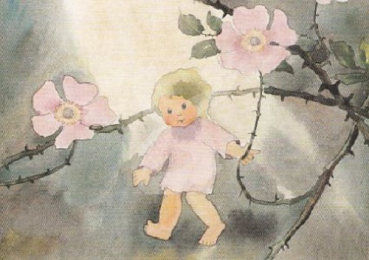 Mili Weber "Wildröslein" Postkarte, Größe: 10,5x15 cm