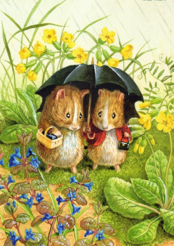 Molly Brett "Meerscheinchen unter dem Regenschirm" Postkarte, Größe: 10,5x15 cm