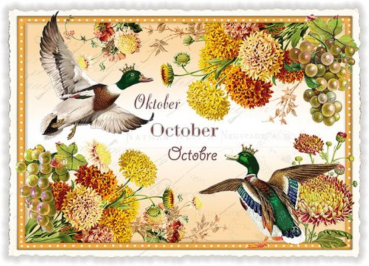 Monats - Edition Tausendschön "Oktober" PK1031 Postkarte Größe: 10,5x15 cm