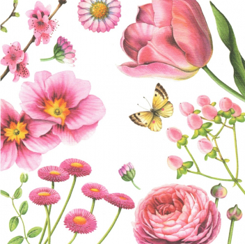 Nina Chen "Frühlingsblüten" Postkarte, keine Veredelung - Neutral Blanko, Größe: 14x14cm