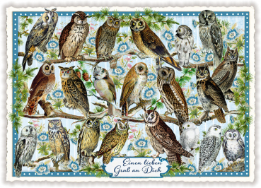 Edition Tausendschön  "Einen lieben Gruß an Dich",  mit Eulen PK312 Größe: 10,5x15 cm