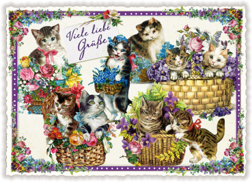 Edition Tausendschön "Viele liebe Grüße",  mit Katzen PK318 Größe: 10,5x15 cm