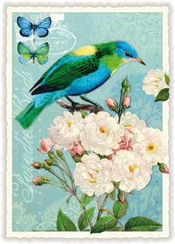 Edition Tausendschön "Vogel",  mit Rosen PK401 Größe: 10,5x15 cm