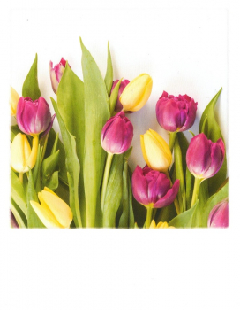 PolaCARD "Tulpen bunt" Postkarte, Größe: 14,0x10,8 cm