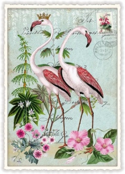 Edition Tausendschön "Flamingopaar" PK659 Größe: 10,5x15 cm