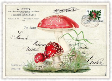 Edition Tausendschön "Fliegenpilz" PK668 Größe: 10,5x15 cm