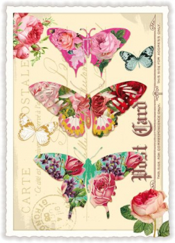 Edition Tausendschön "Schmetterlinge" PK701 Größe: 10,5x15 cm
