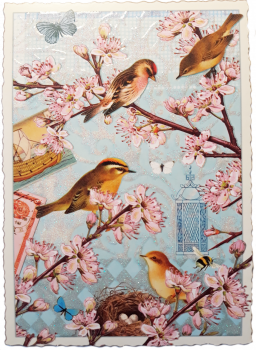 PK373 Vögel Tausendschön Postkarte