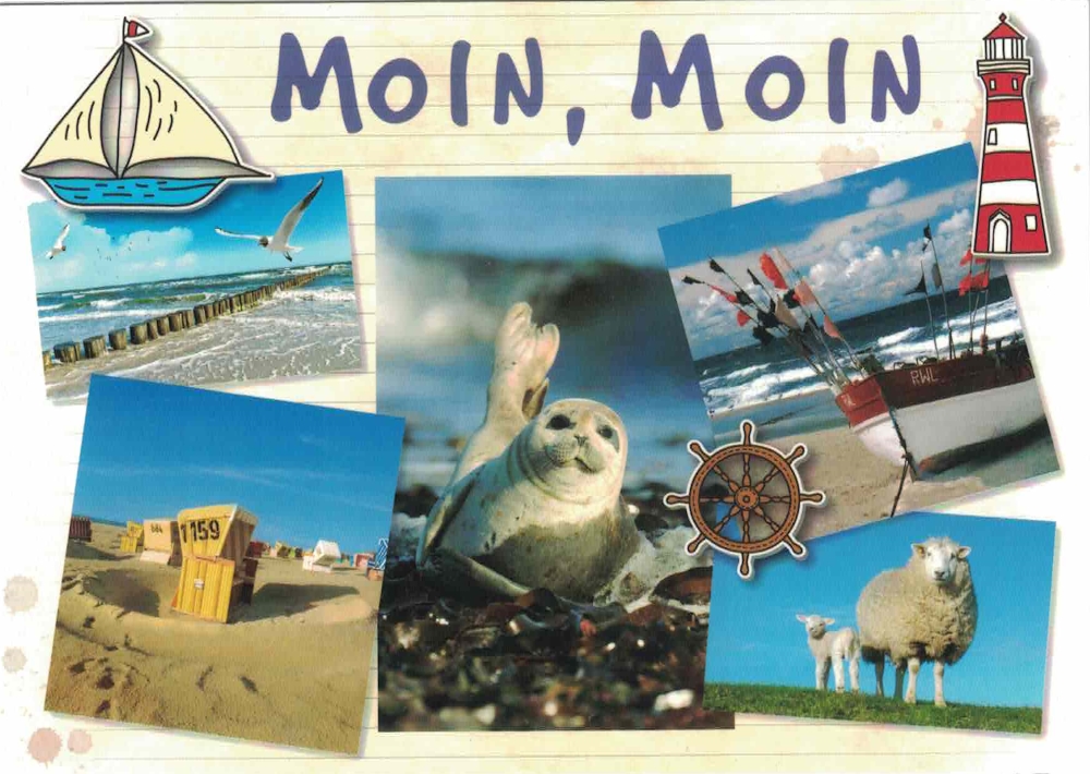 Postkarten, Grußkarten und mehrMoin, Moin Postkarte, Groesse 10,5x15 cm