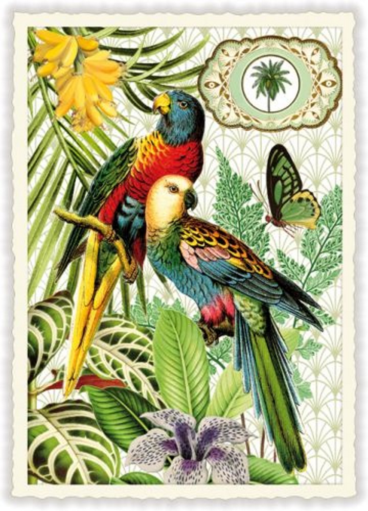 Postkarten Grusskarten Und Mehr Edition Tausendschoen Papageien Pk917 Groesse 10 5x15 Cm