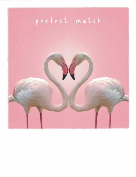 PolaCARD Flamingo-Herz