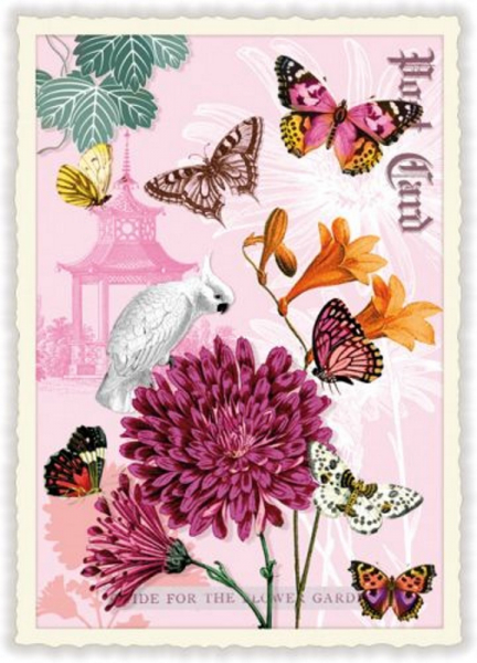 PK916 Blume,  Kakadu und Schmetterlinge  Edition Tausendschön