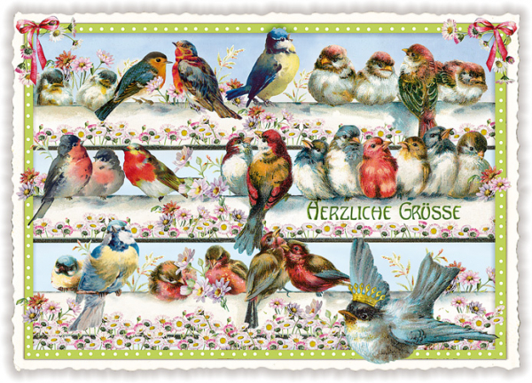 Tausendschön PK319 Herzliche Grüße mit Vögel und Blumen
