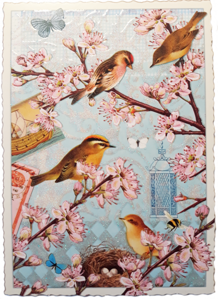 PK373 Vögel Tausendschön Postkarte