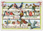 Edition Tausendschön  "Herzliche Grüße"  mit Vögel PK319 Größe: 10,5x15 cm